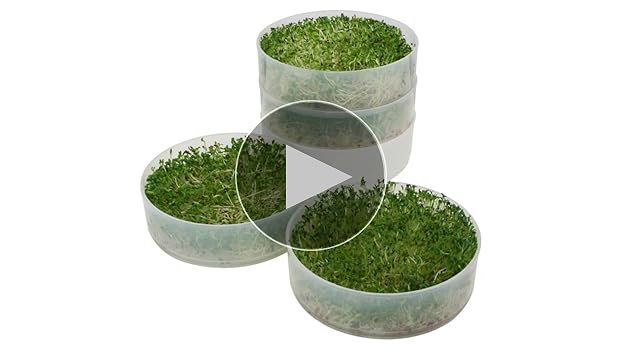Amazon.com : KITCHEN CROP VKP Brands 4-Tray Sprouter : Patio